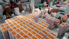 中国外文出书刊行事业局办理的国度旧事